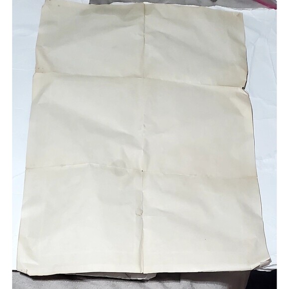 Pink Floyd Dark Side Moon Vinyl Insert Band Poster 20"x30" Psychedelic - Picture 5 of 16